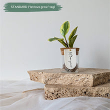 Load image into Gallery viewer, Leaf Jar Favours - MINIMUM 8-WEEK LEAD TIME (from $236 for set of 20 Leaf Jars)