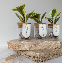 Load image into Gallery viewer, Leaf Jar Favours - MINIMUM 8-WEEK LEAD TIME (from $236 for set of 20 Leaf Jars)