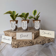 Load image into Gallery viewer, Leaf Jar Favours - MINIMUM 8-WEEK LEAD TIME (from $236 for set of 20 Leaf Jars)