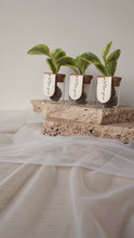 Load and play video in Gallery viewer, Leaf Jar Favours - MINIMUM 8-WEEK LEAD TIME (from $236 for set of 20 Leaf Jars)
