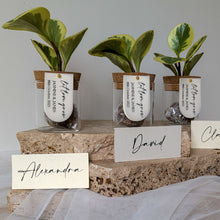 Load image into Gallery viewer, Leaf Jar Favours - PRE-ORDER for MAY 2025 WEDDING DATES (from $236 for set of 20 Leaf Jars)
